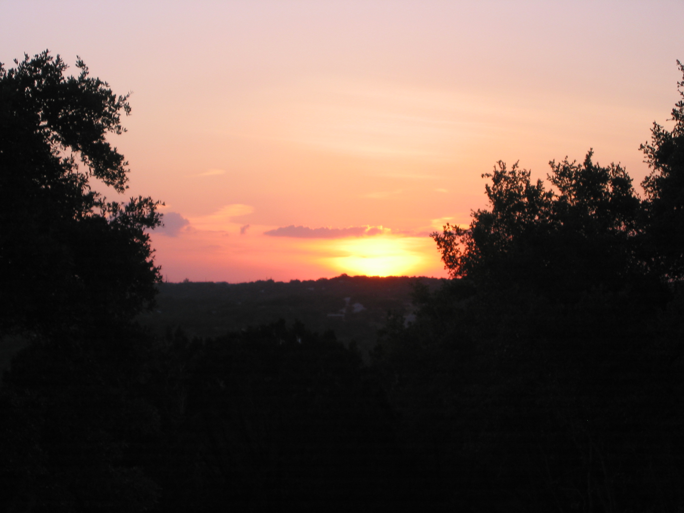 IMG_0774.JPG